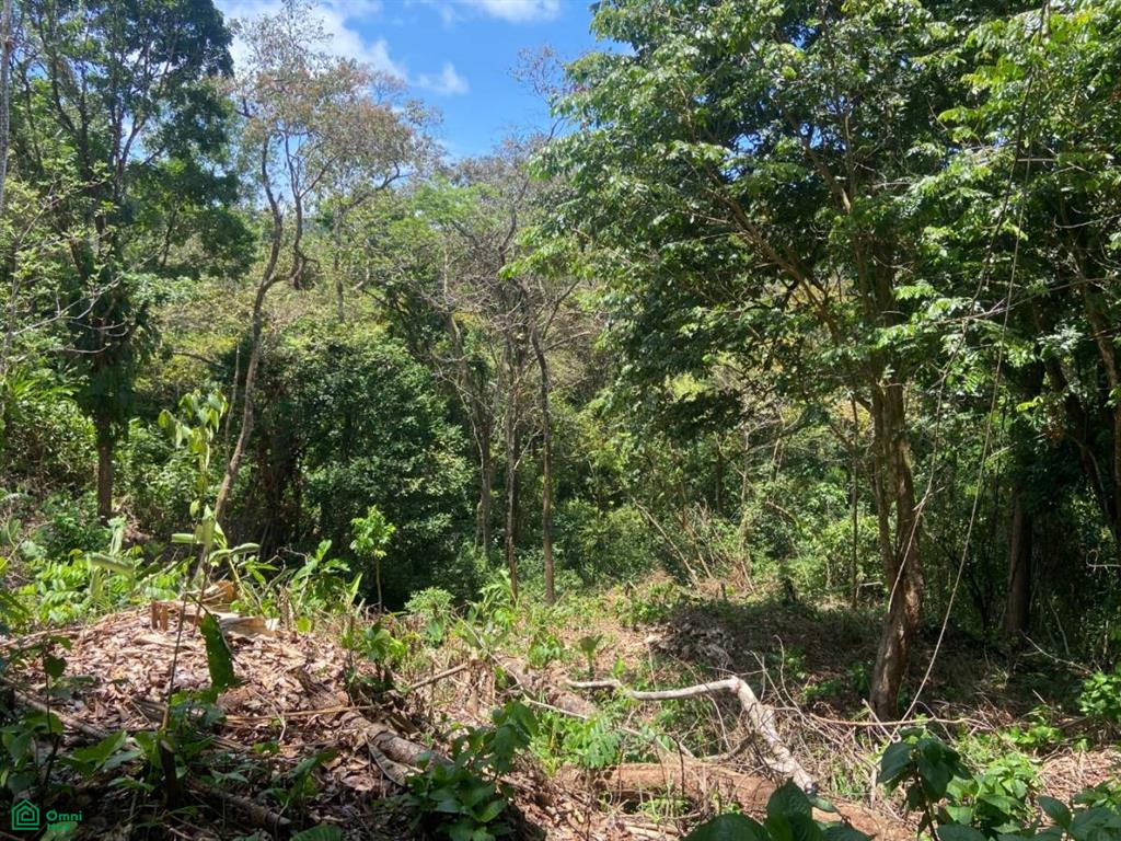 0 bed Land For Sale in , Puntarenas - 1