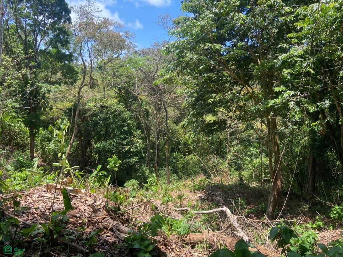 El Salto Estates , Quepos, Quepos, Puntarenas, 60601