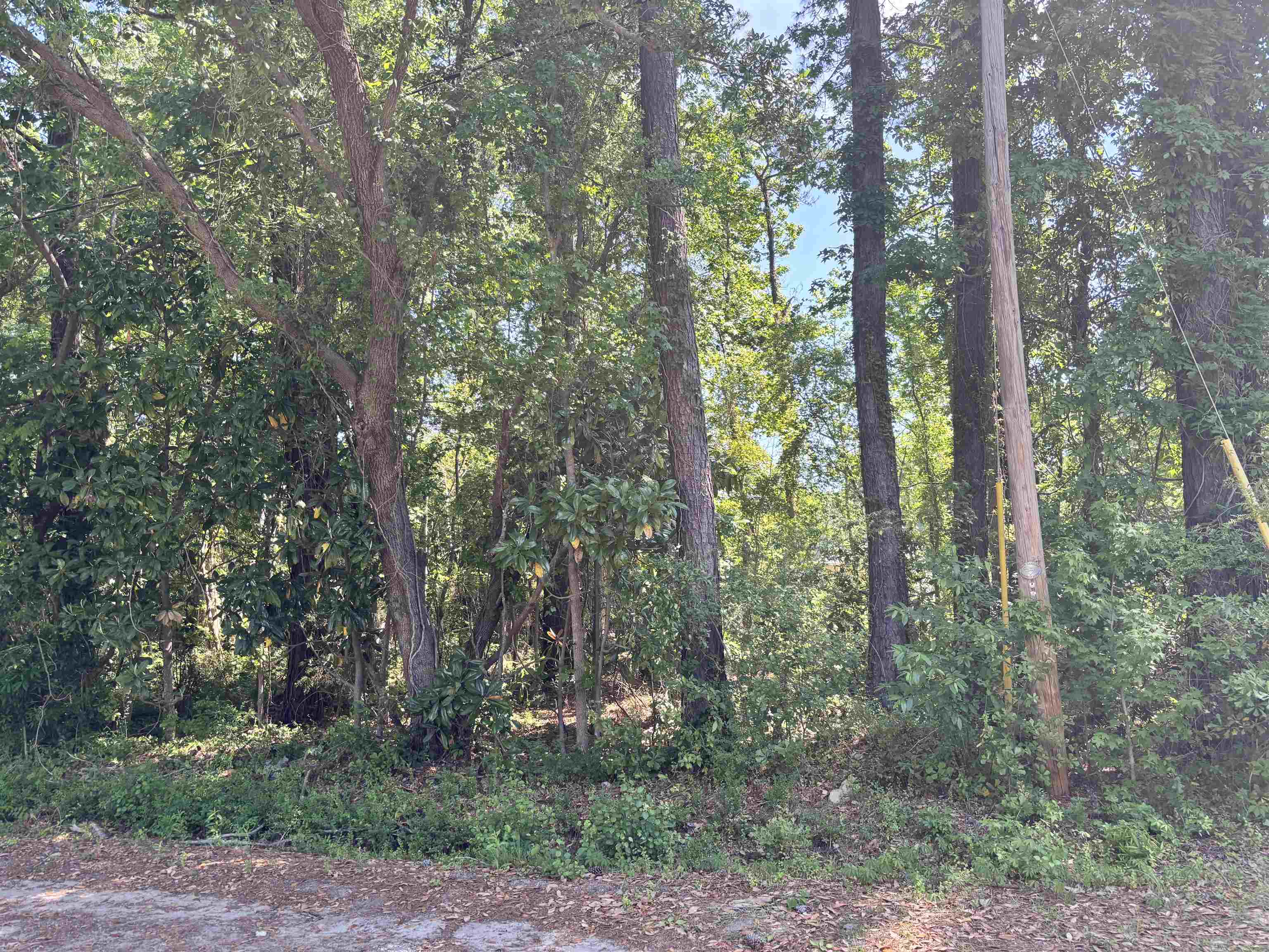 TBD Wilson Ln Conway, SC 29526