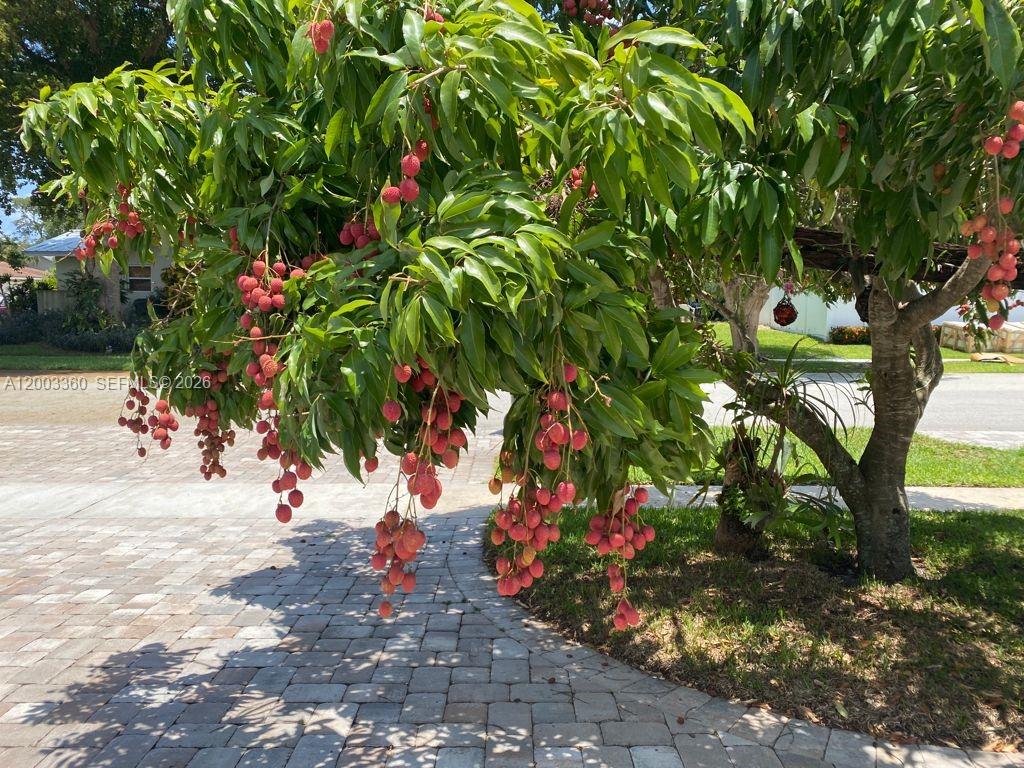 Boca Raton Square Unit 8