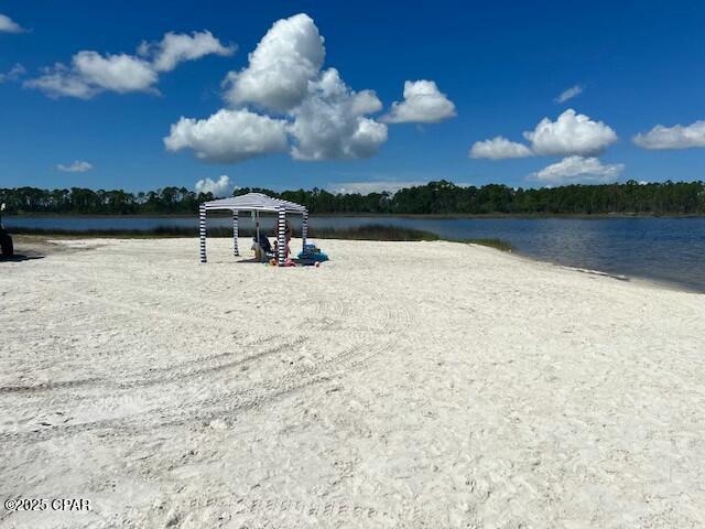 Image 67 For 1317 Buttonsage Avenue Lot 653 -
