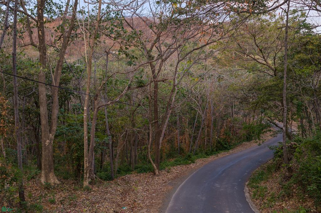  bed Land For Sale in Santa Cruz, Guanacaste - 1
