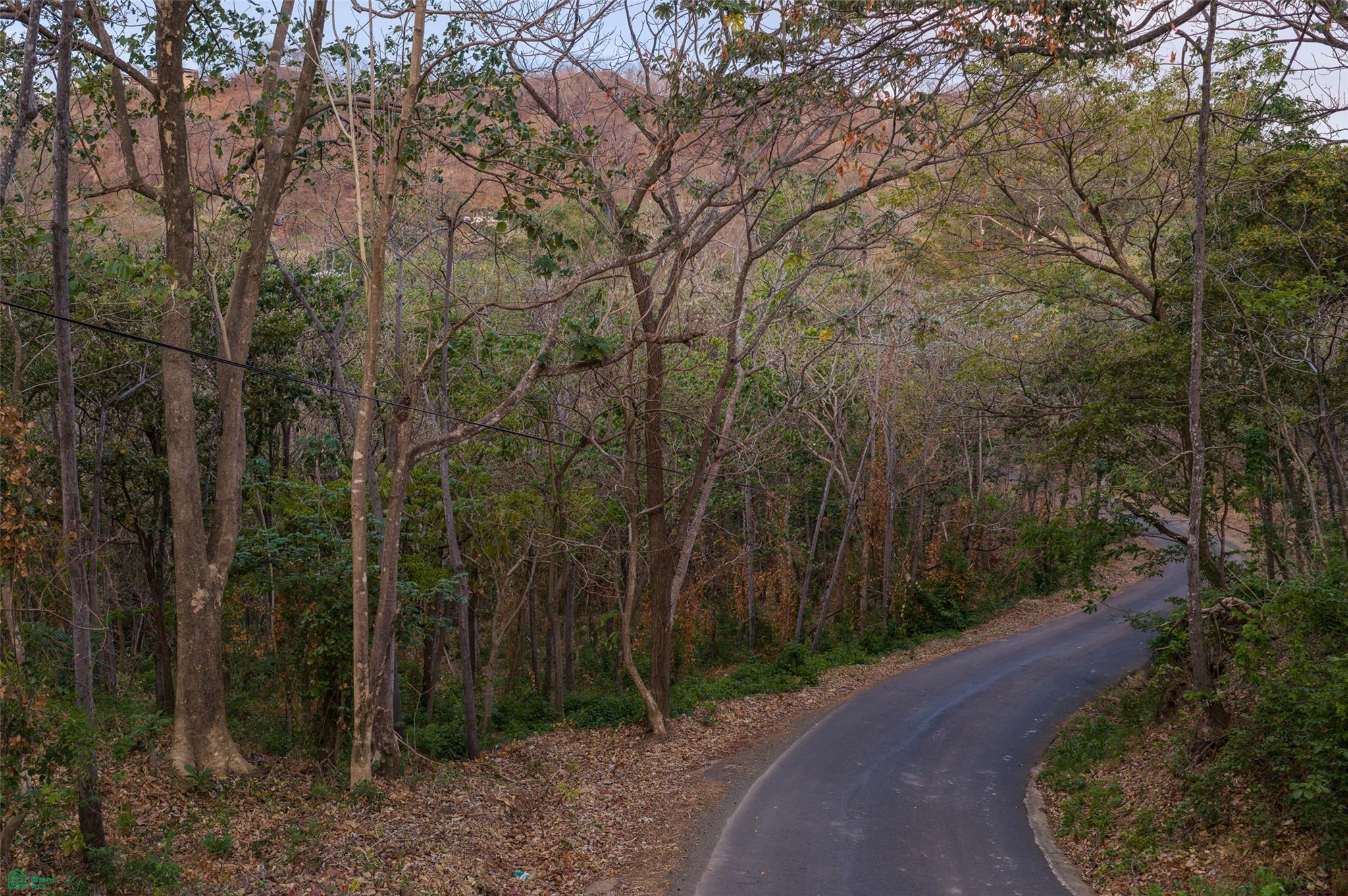  bed Land For Sale in Santa Cruz, Guanacaste - 1