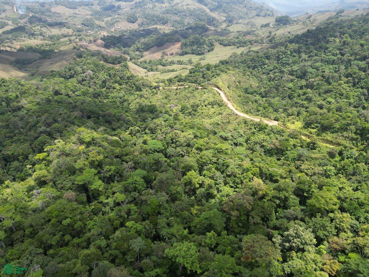  bed Land For Sale in Puntarenas, Puntarenas - 1