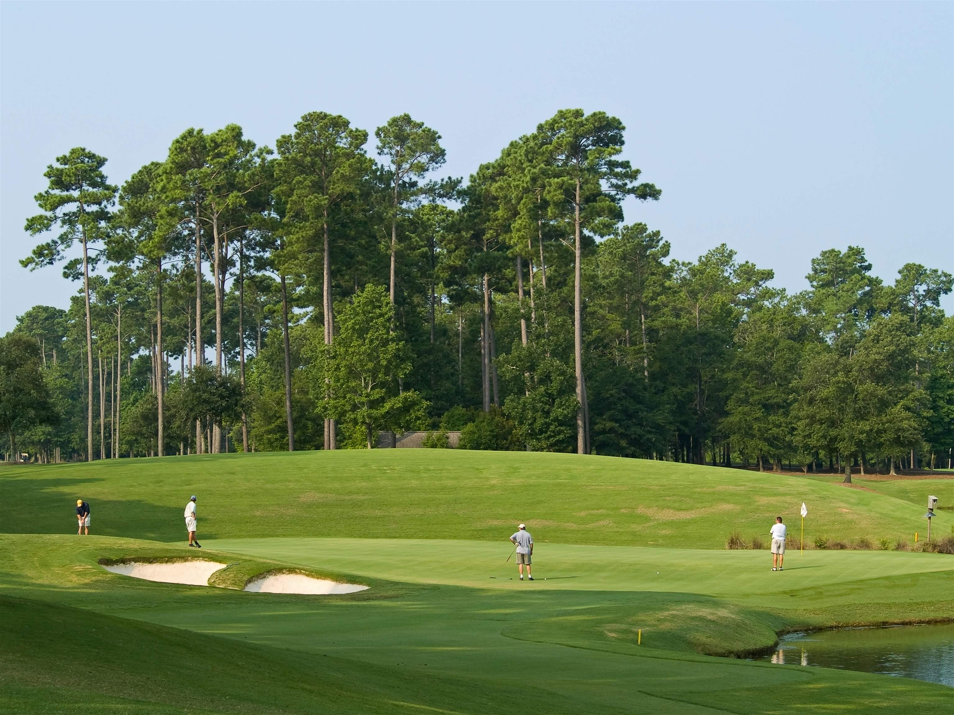49th image of 301 Shorehaven Dr, North Myrtle Beach, SC 29582 | MLS# 2610260