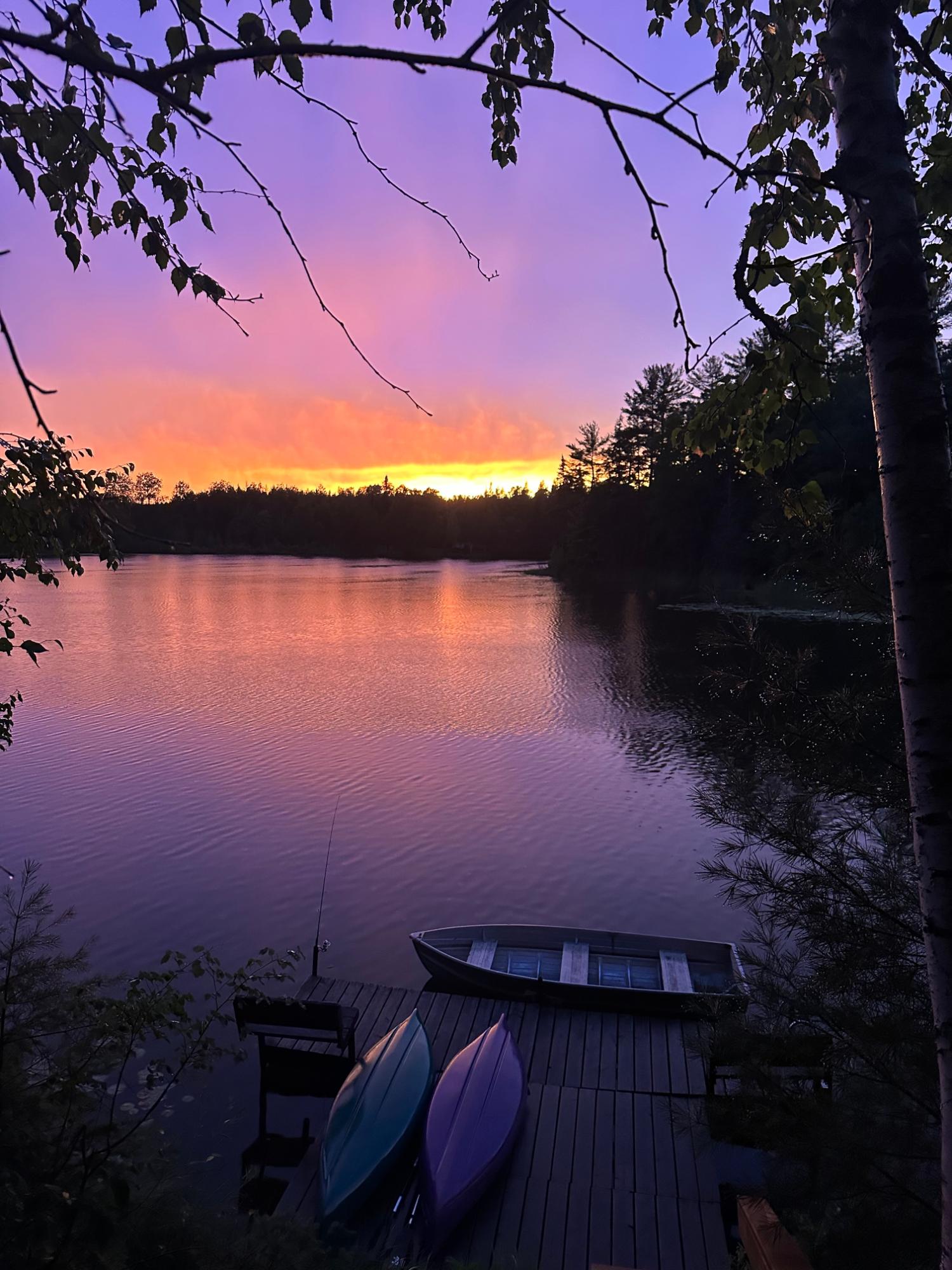 Island Lake LDF Property W3472 Island Point Rd Photo 3