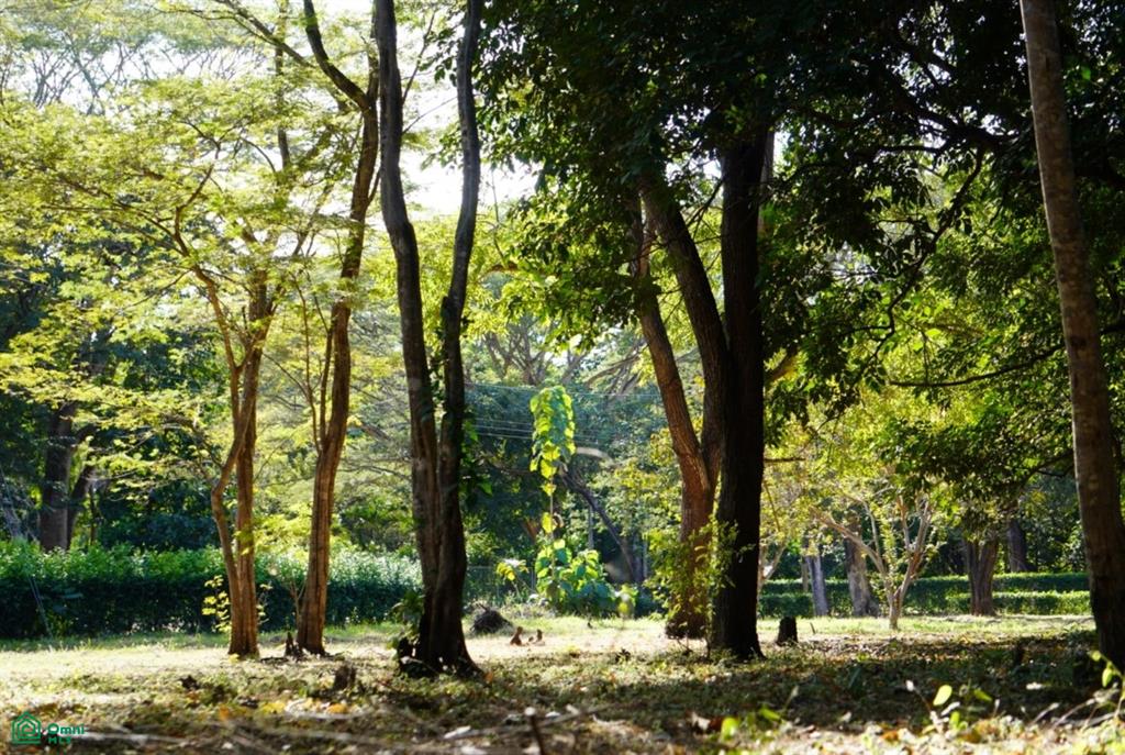  bed Land For Sale in Santa Cruz, Guanacaste - 1