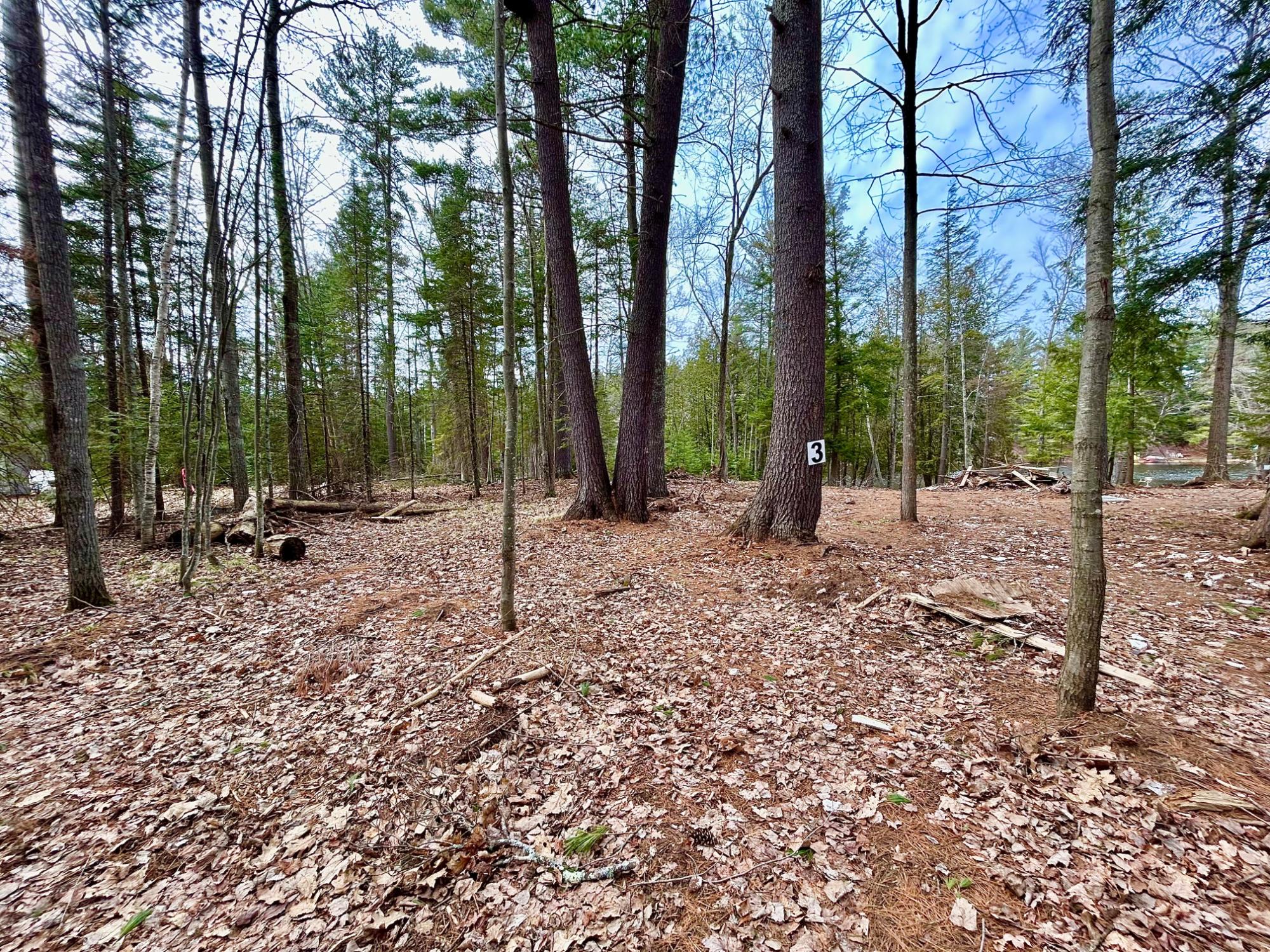 River Property Property Lot 3 Riverdale Ln Photo 5