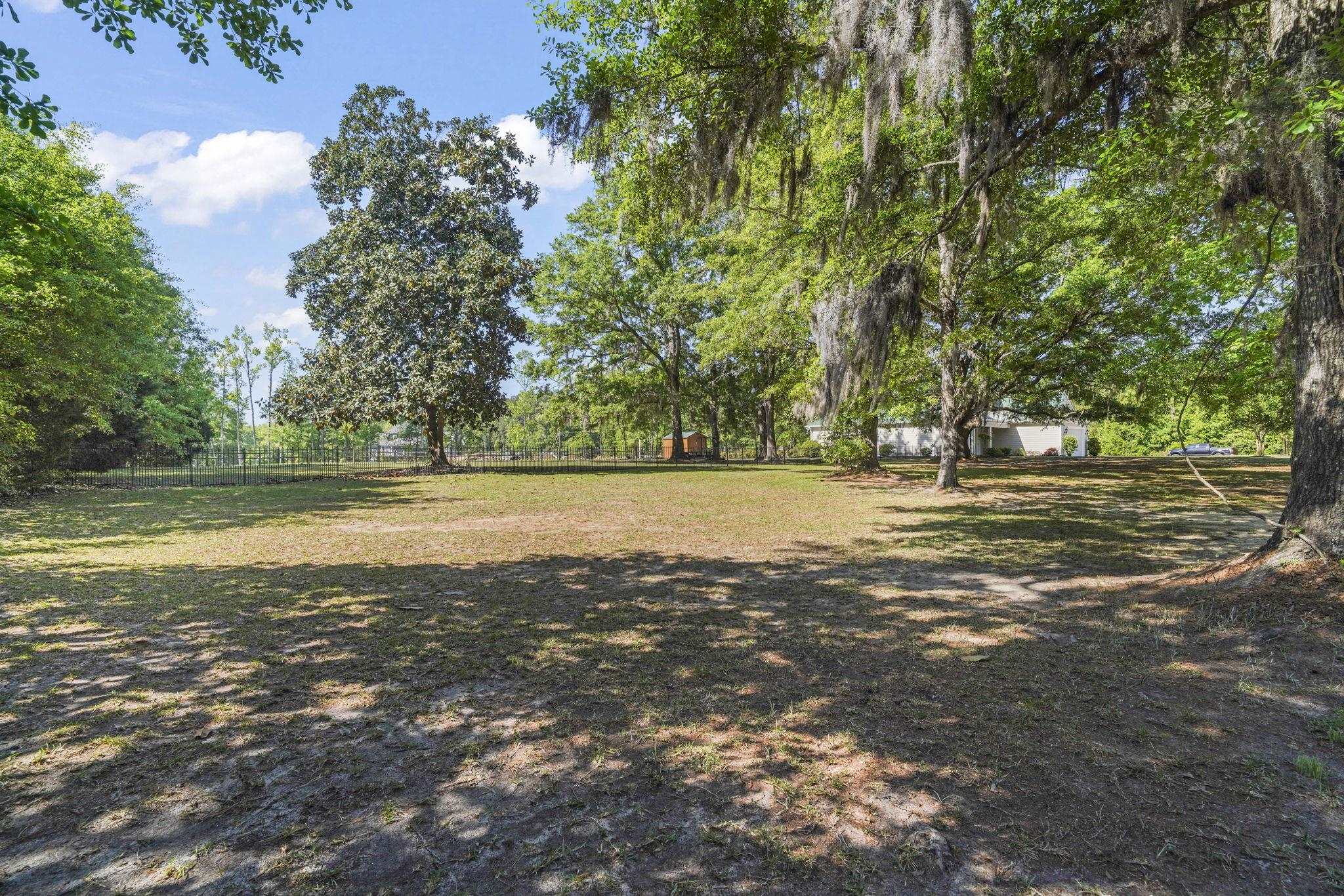 2610329 | Photo 4