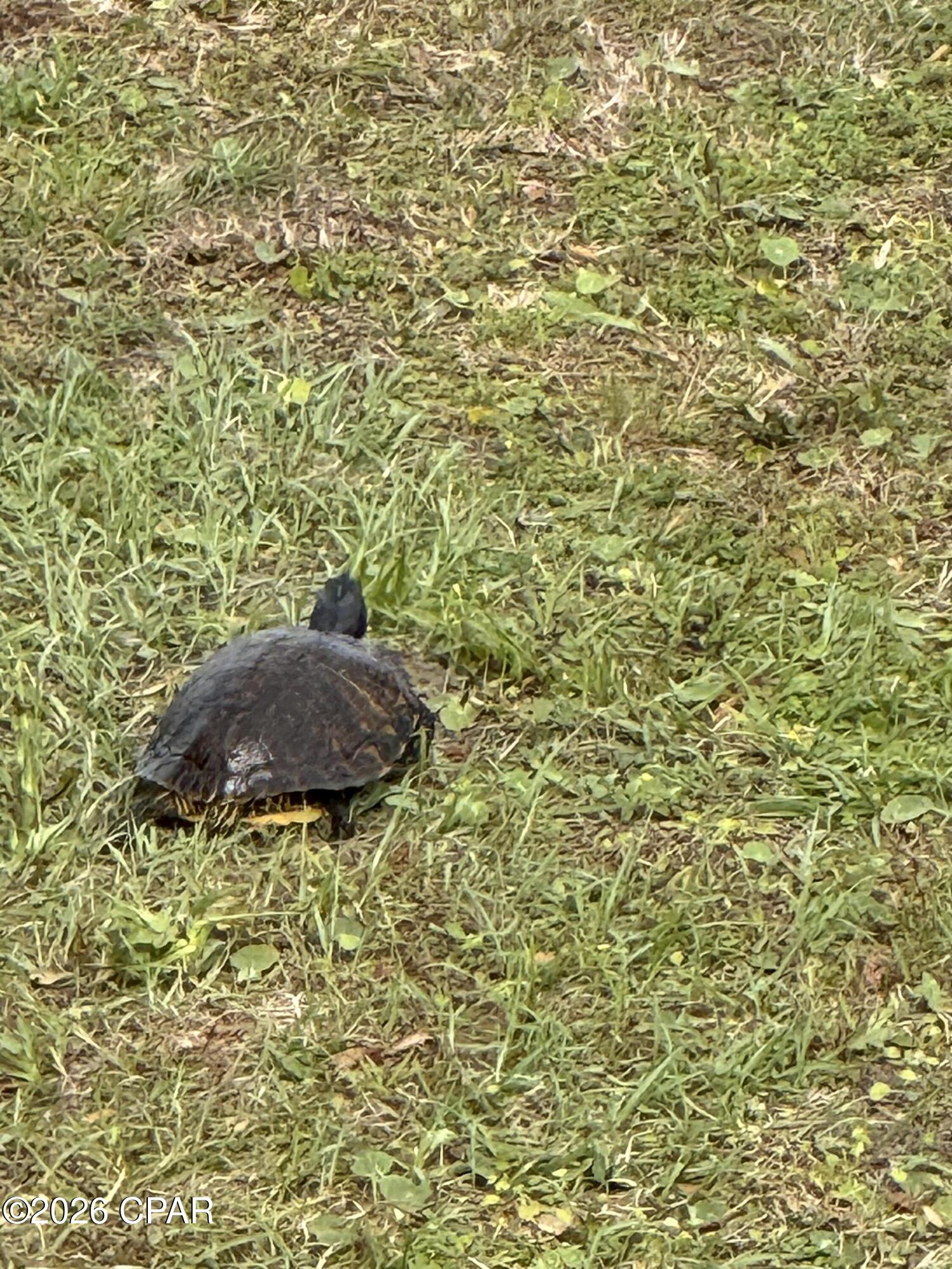 Image 84 For 9012 Pecan Street