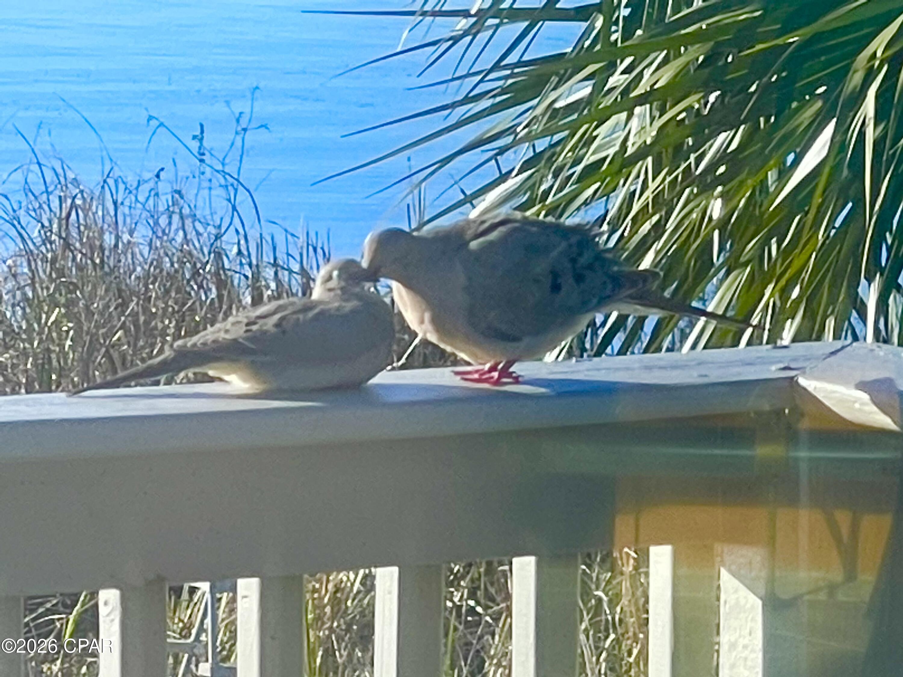 Image 85 For 9012 Pecan Street