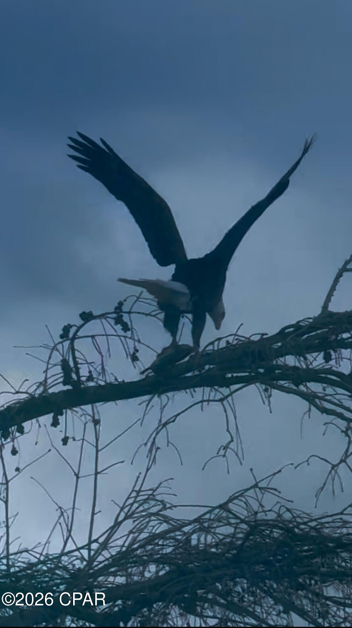 Image 87 For 9012 Pecan Street
