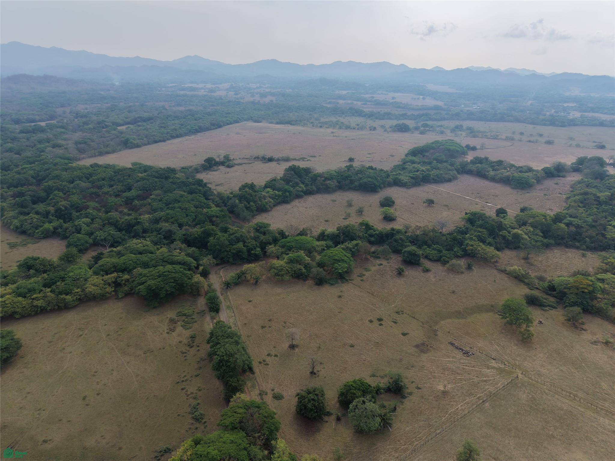  bed Land For Sale in Santa Cruz, Guanacaste - 1