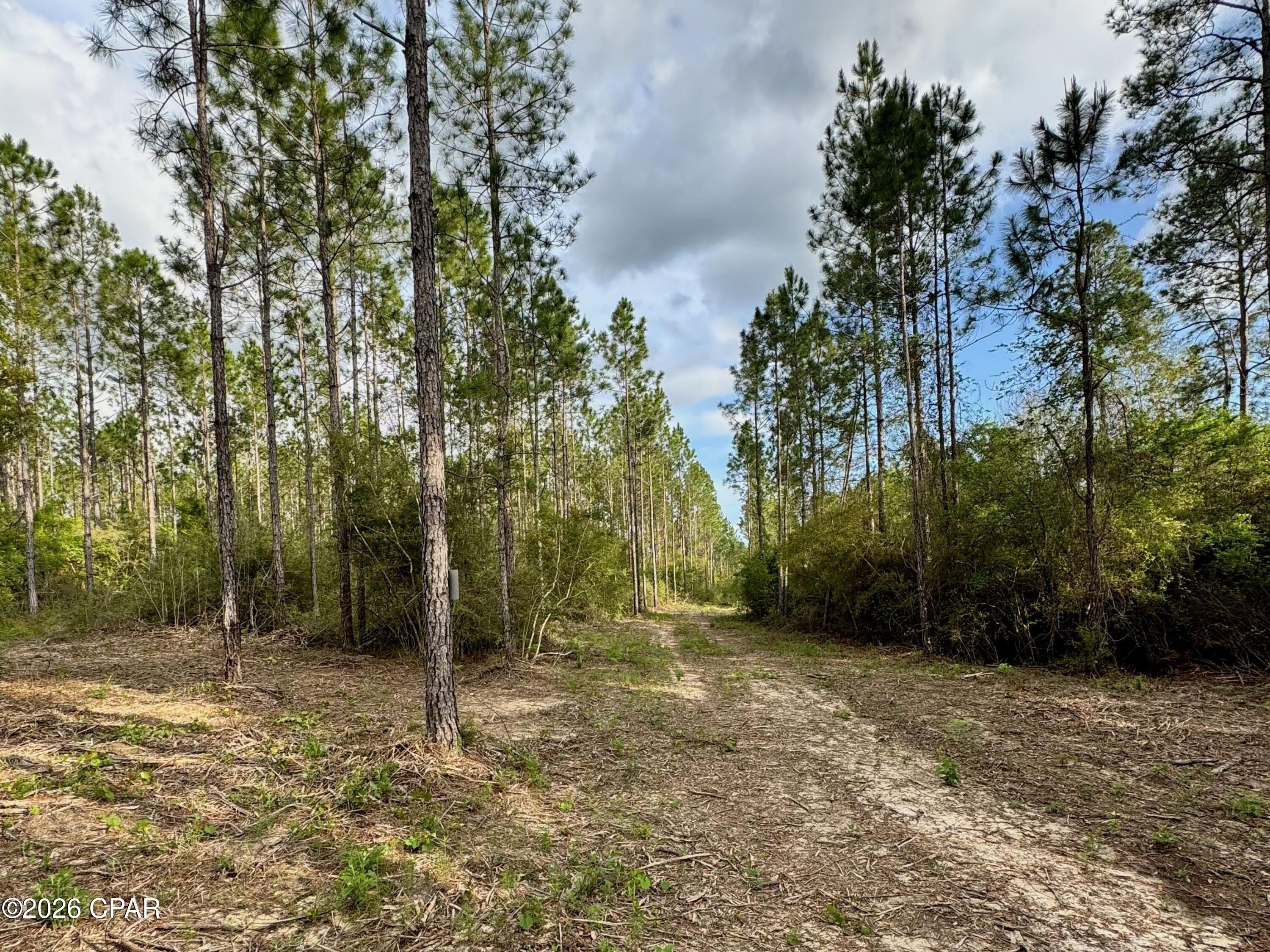 Homes for sale in Bonifay, FL | Lot 9 Pleasant Hill Rd, Bonifay, FL 32425 | MLS# 788785