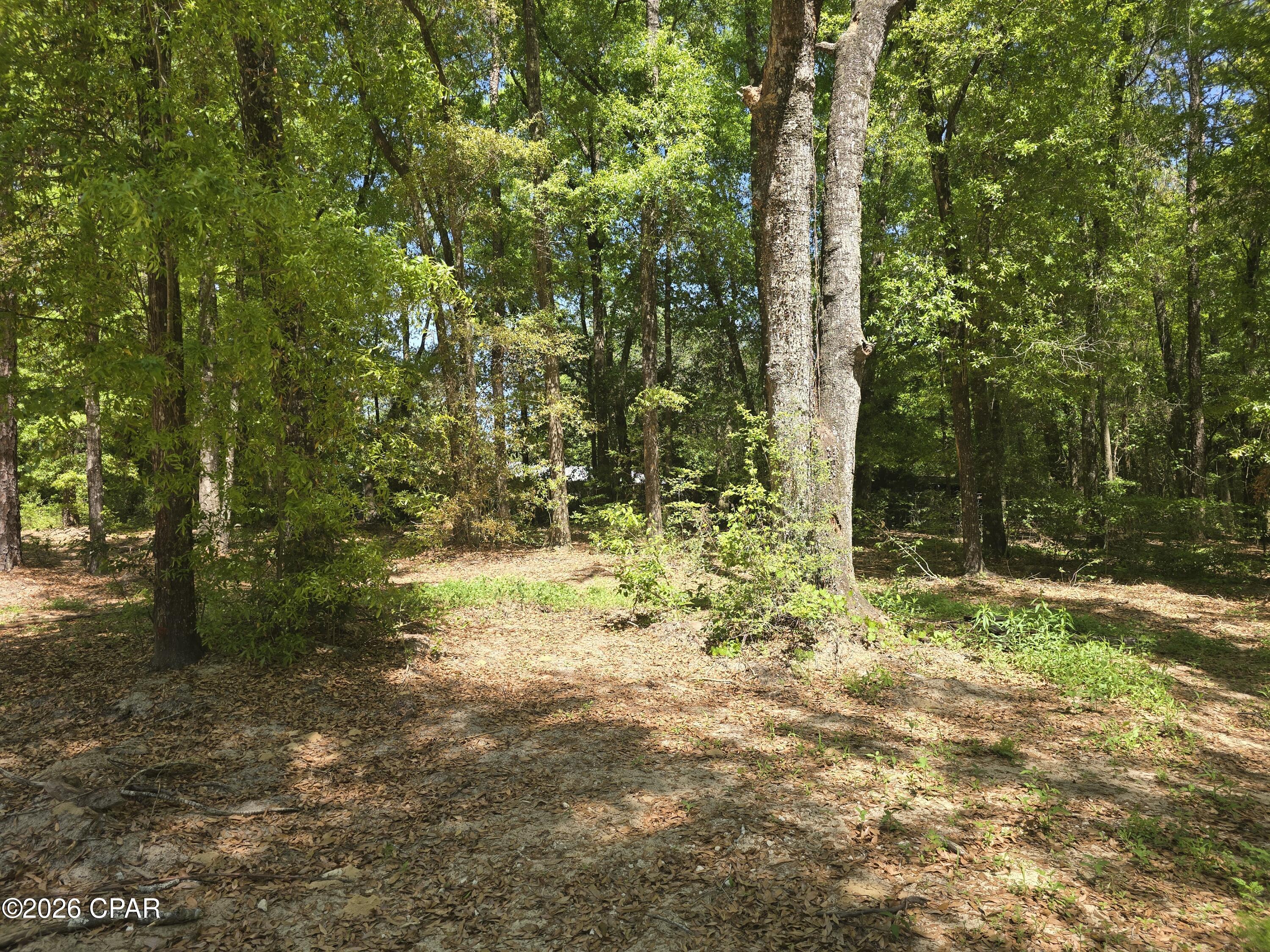 Image 36 For 319 Clyde Brown Road