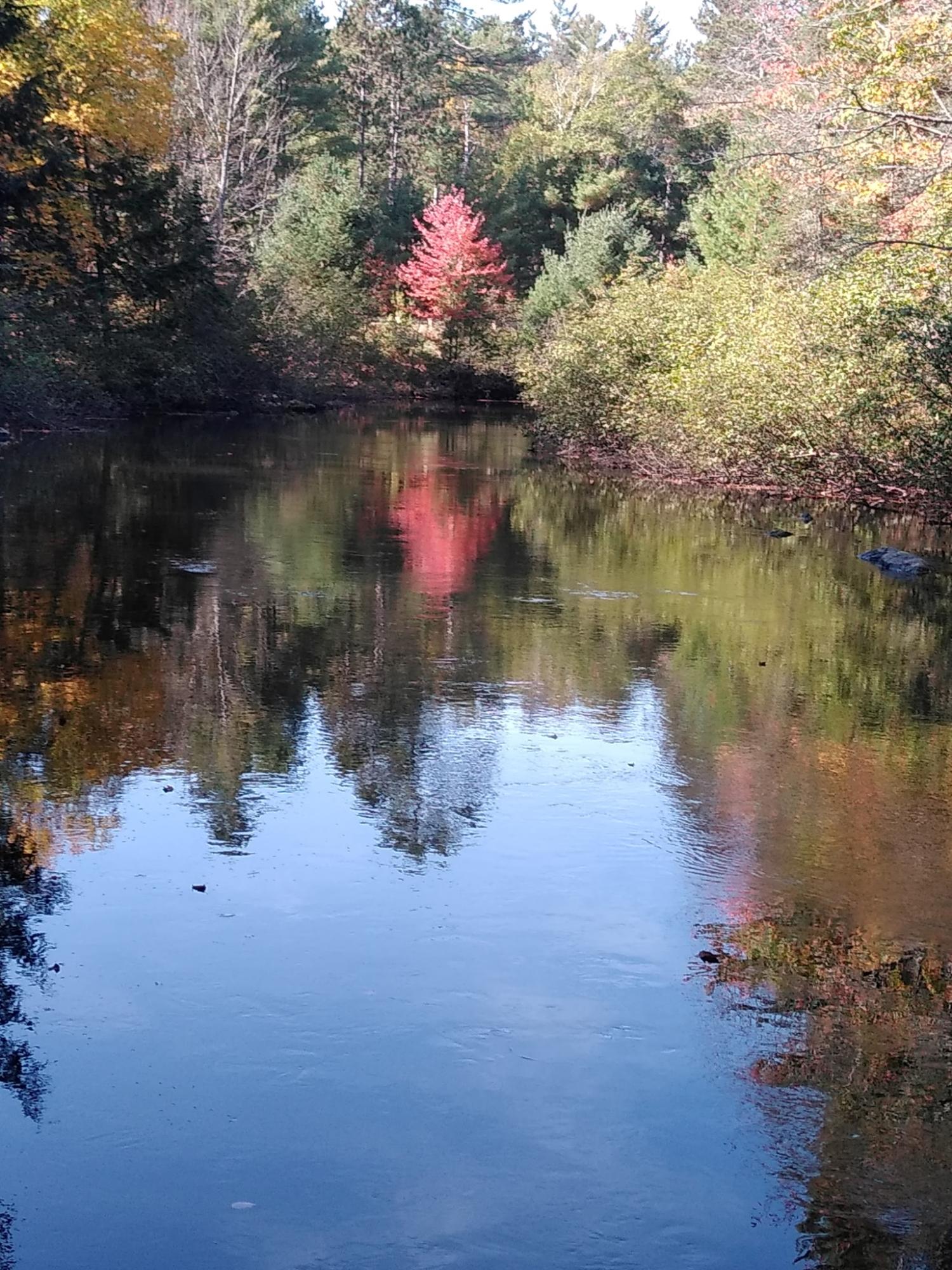 River Property Property 3570 Deer Trail Ln Photo 5