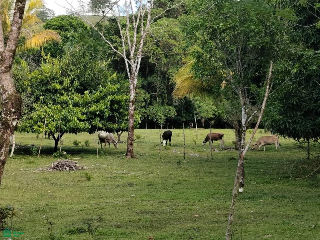 0 bed Land For Sale in Guatuso, Alajuela - 1