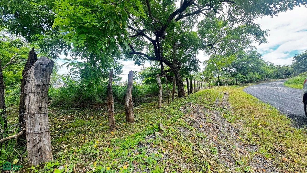 0 bed Single Family Homes For Sale in Carrillo, Guanacaste - 1