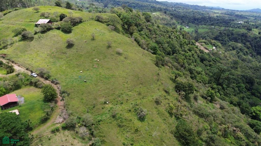 0 bed Land For Sale in Turrialba, Cartago - 1