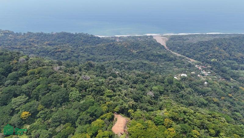  bed Land For Sale in Puntarenas, Puntarenas - 1