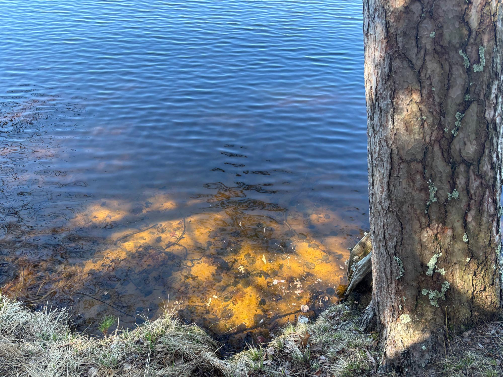 Bass Lake(R) Property 4171 Bay Rd N Photo 3