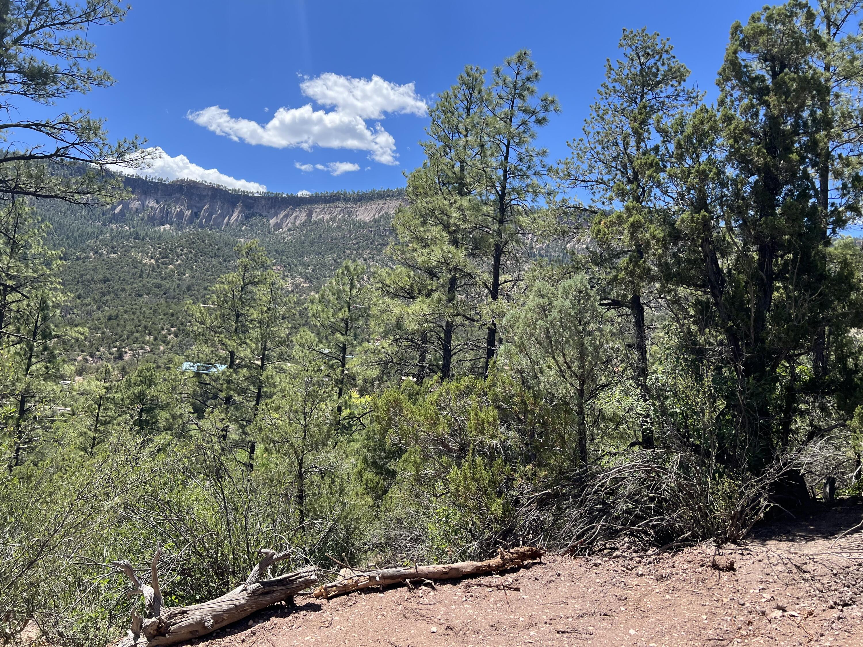 1-A-3 Calle Pinon Jemez Springs, NM 87025
