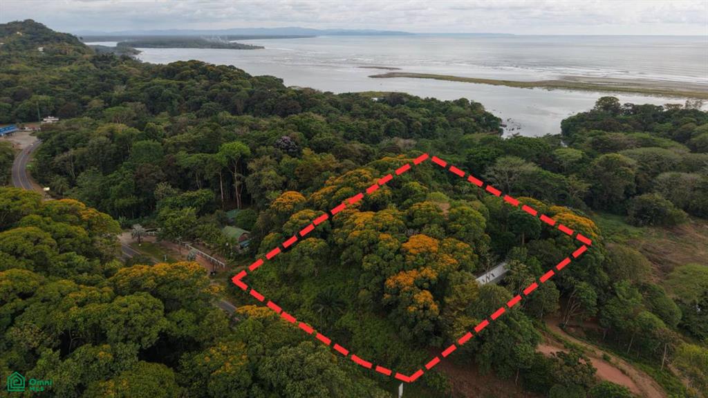 3 bed Single Family Homes For Sale in Osa, Puntarenas - 1
