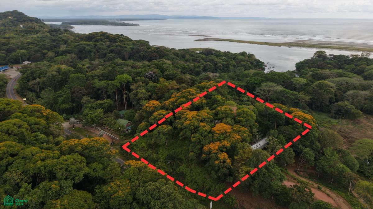 3 bed Single Family Homes For Sale in Osa, Puntarenas - 1