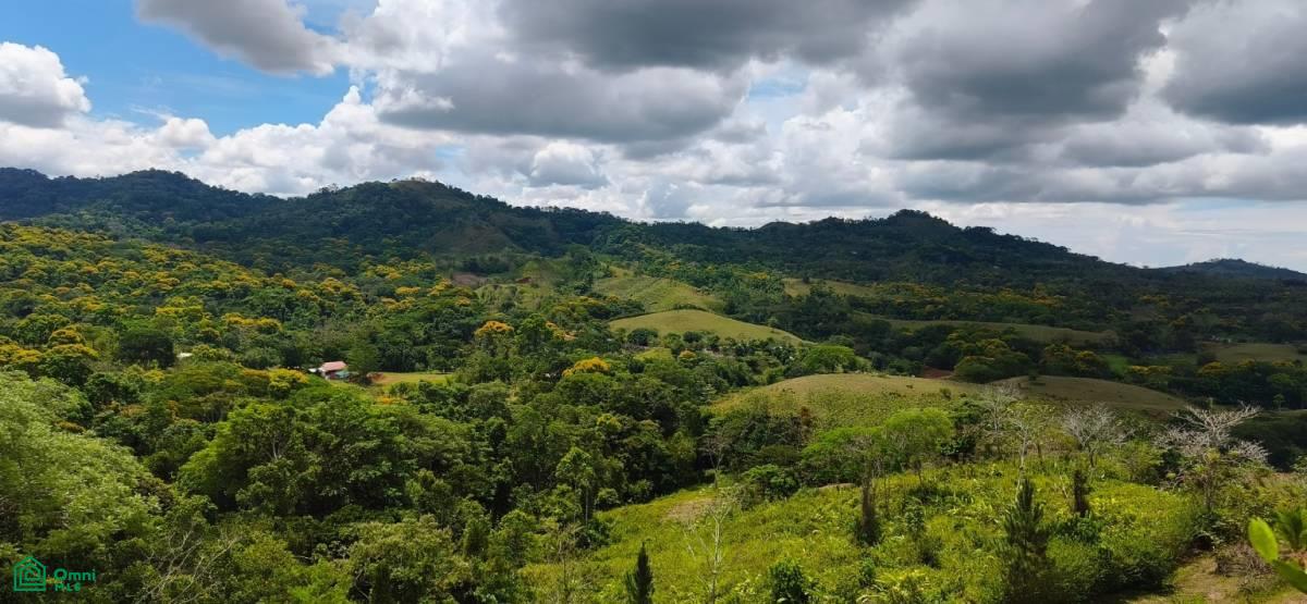 0 bed Land For Sale in Garabito, Puntarenas - 1