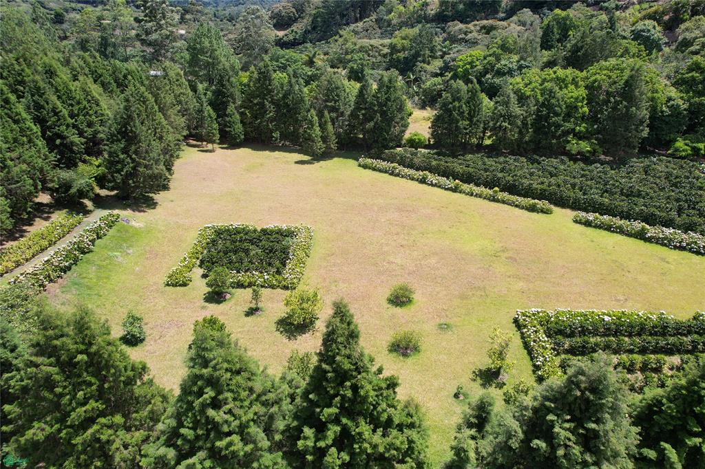  bed Land For Sale in Grecia, Alajuela - 1