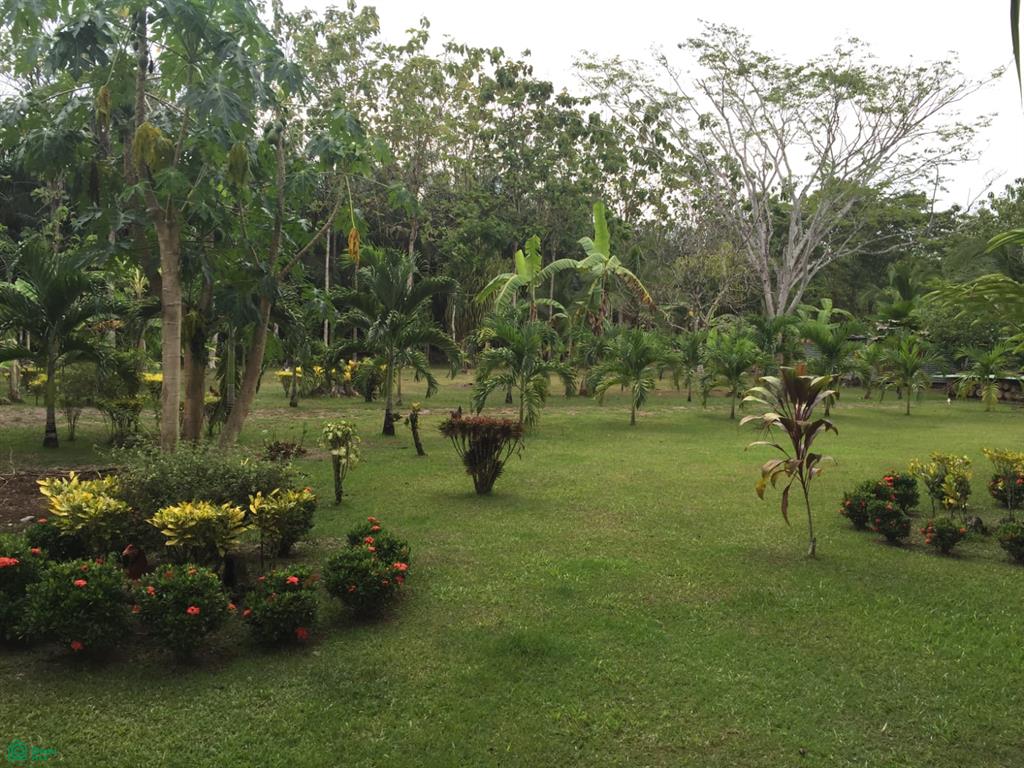  bed Land For Sale in Puntarenas, Puntarenas - 1