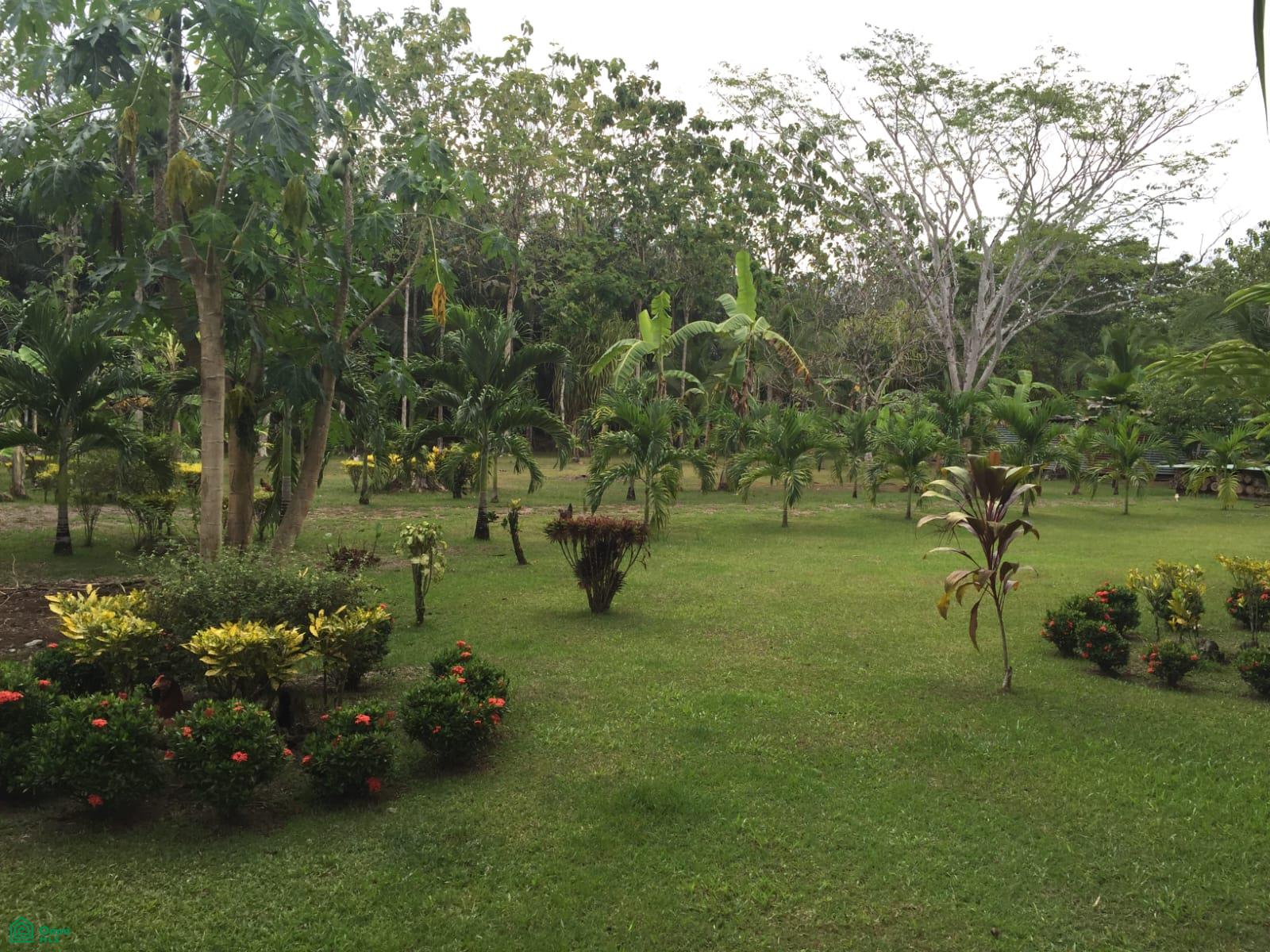  bed Land For Sale in Puntarenas, Puntarenas - 1