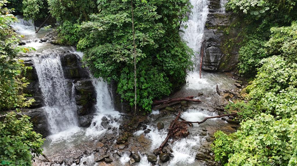  bed Land For Sale in Puntarenas, Puntarenas - 1
