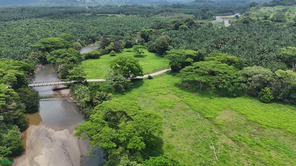  bed Land For Sale in Quepos, Puntarenas - 1