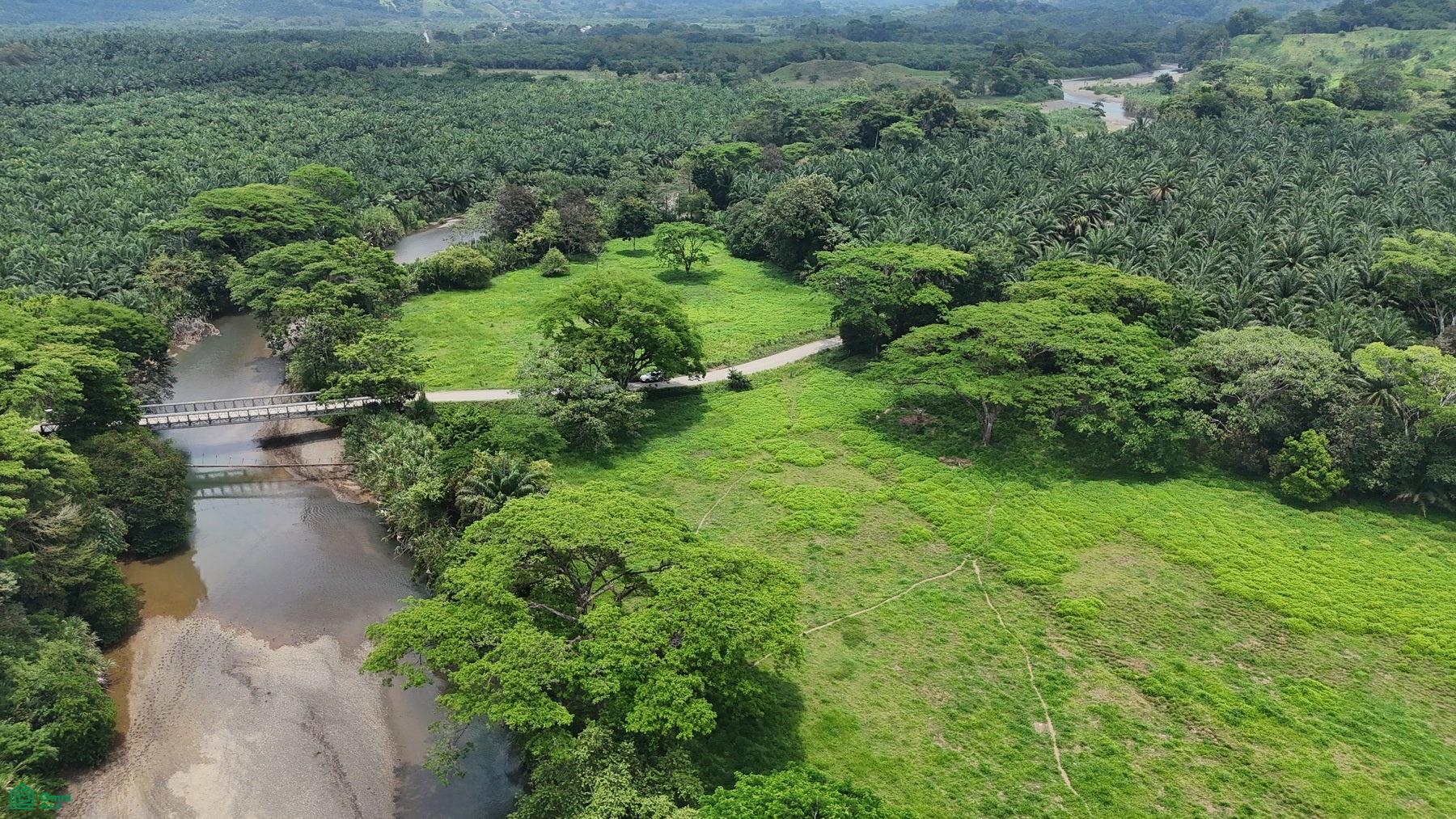  bed Land For Sale in , Puntarenas - 1