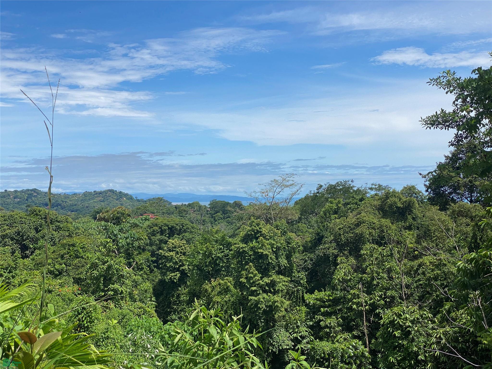  bed Land For Sale in Puntarenas, Puntarenas - 1