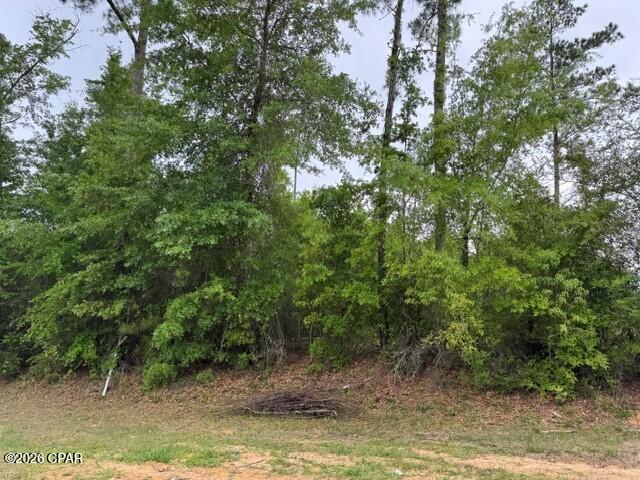 Details for 000 Lakeview Drive, Wewahitchka, FL 32465