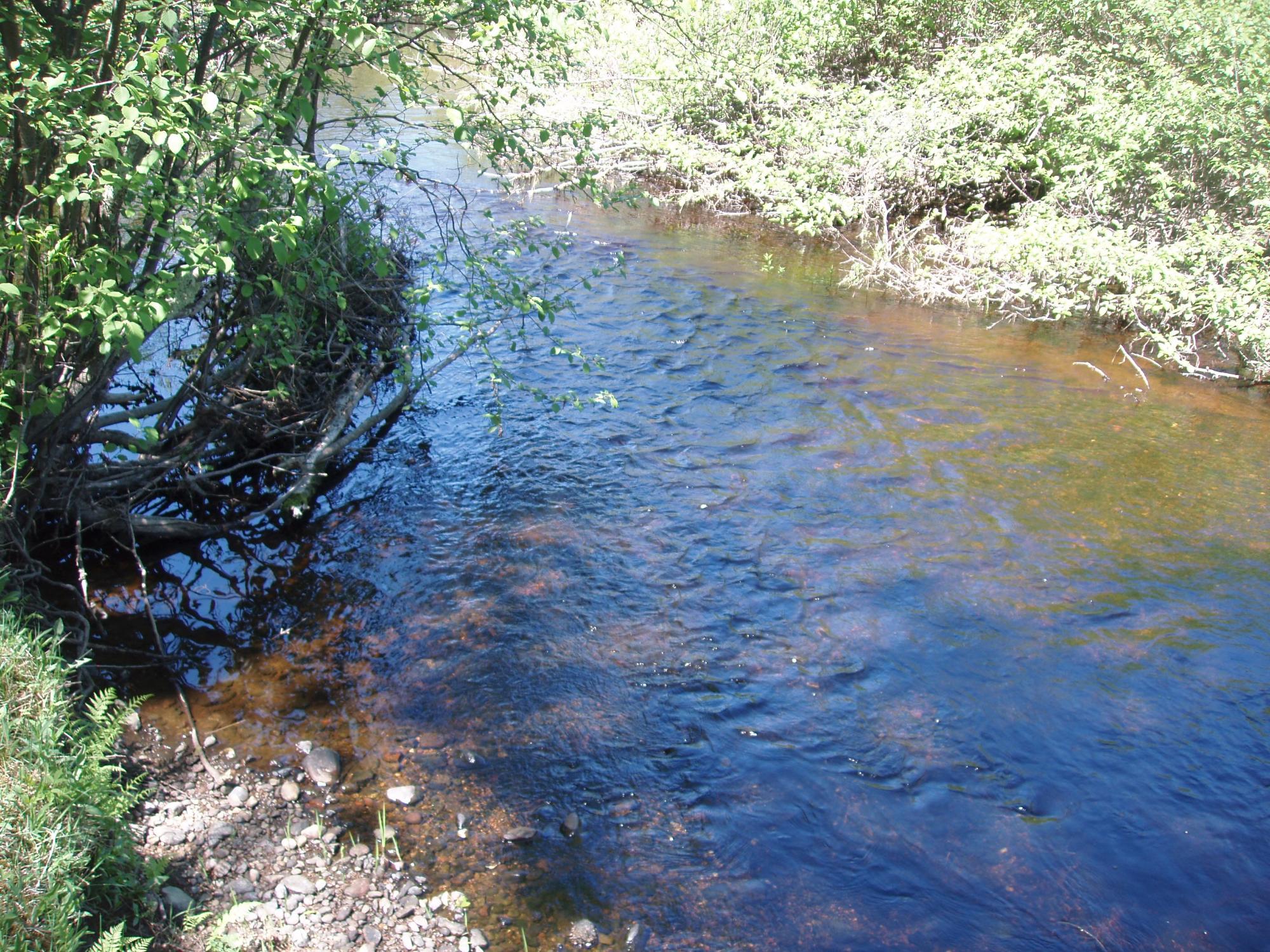 River Property Property W9798 Fleming Rd Photo 8