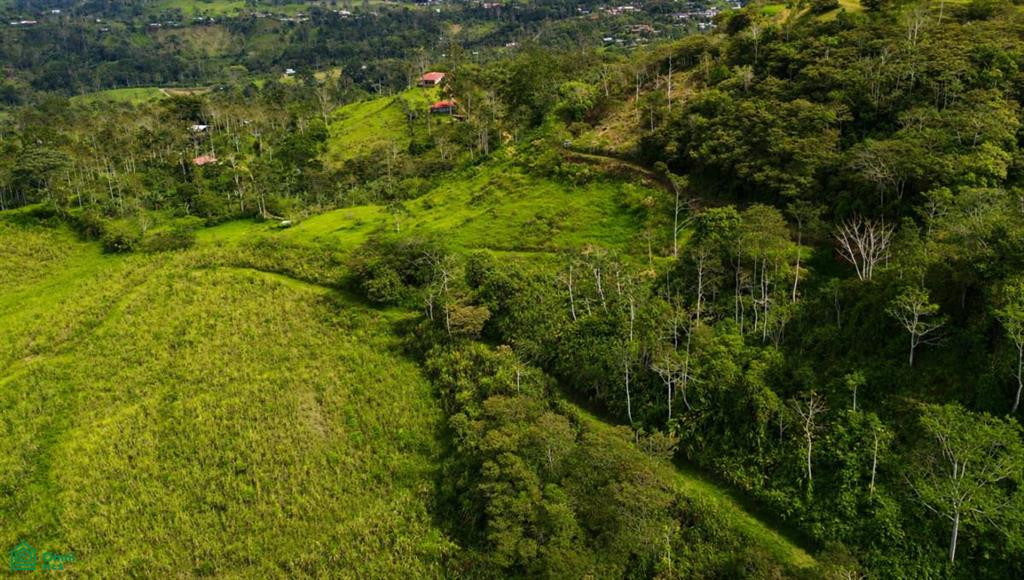 0 bed Land For Sale in Turrialba, Cartago - 1