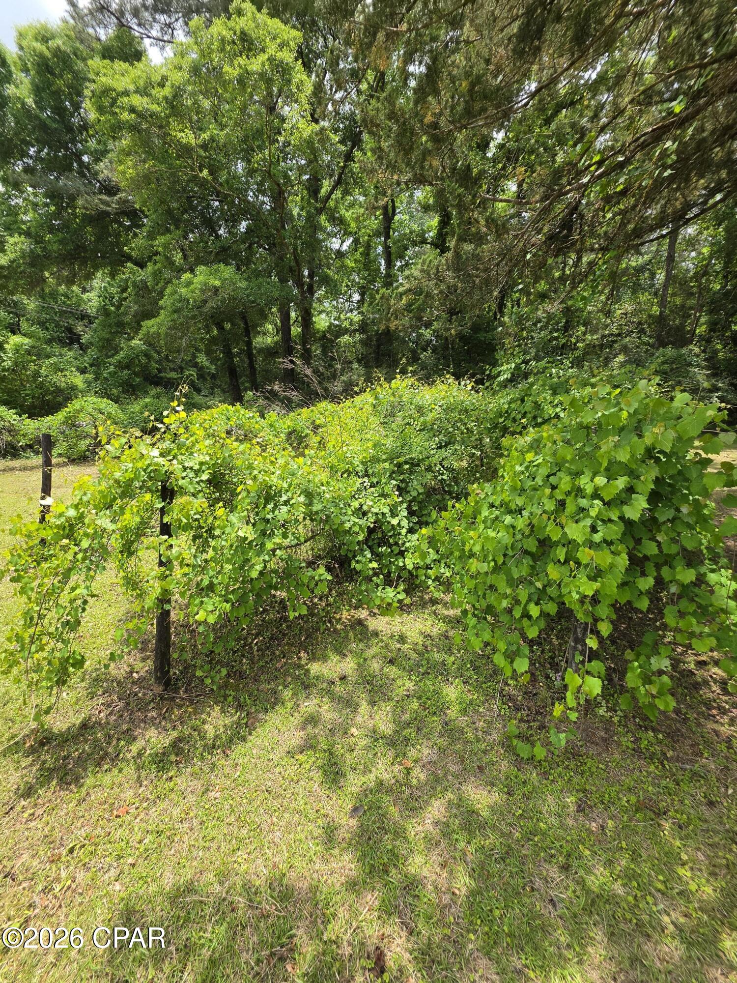 Homes for sale in Ponce De Leon, FL | 4995 State Hwy 81, Ponce De Leon, FL 32455 | MLS# 789040