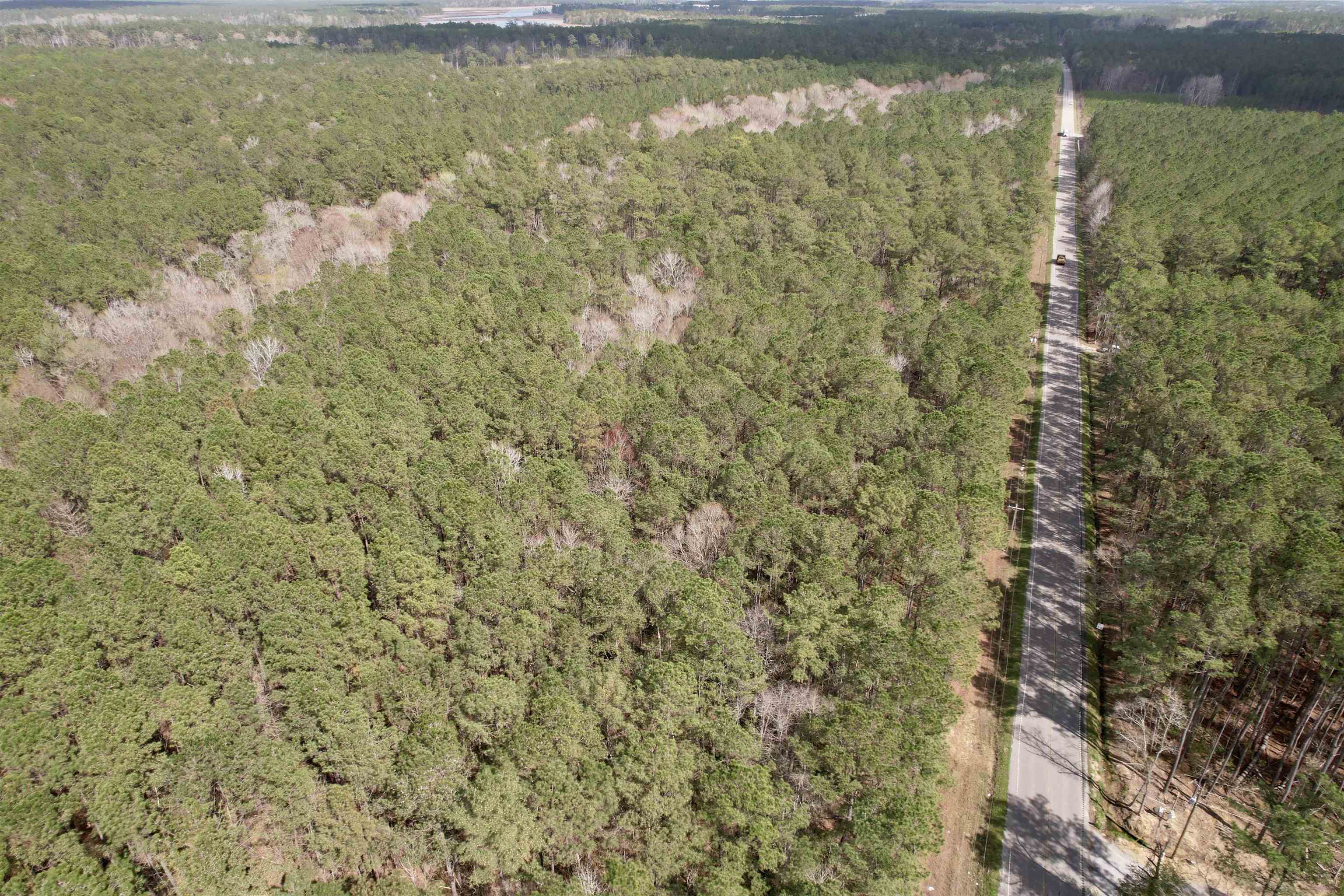 3rd image of Tract C - Tbd Pennyroyal Rd, Georgetown, SC 29440 | MLS# 2611009