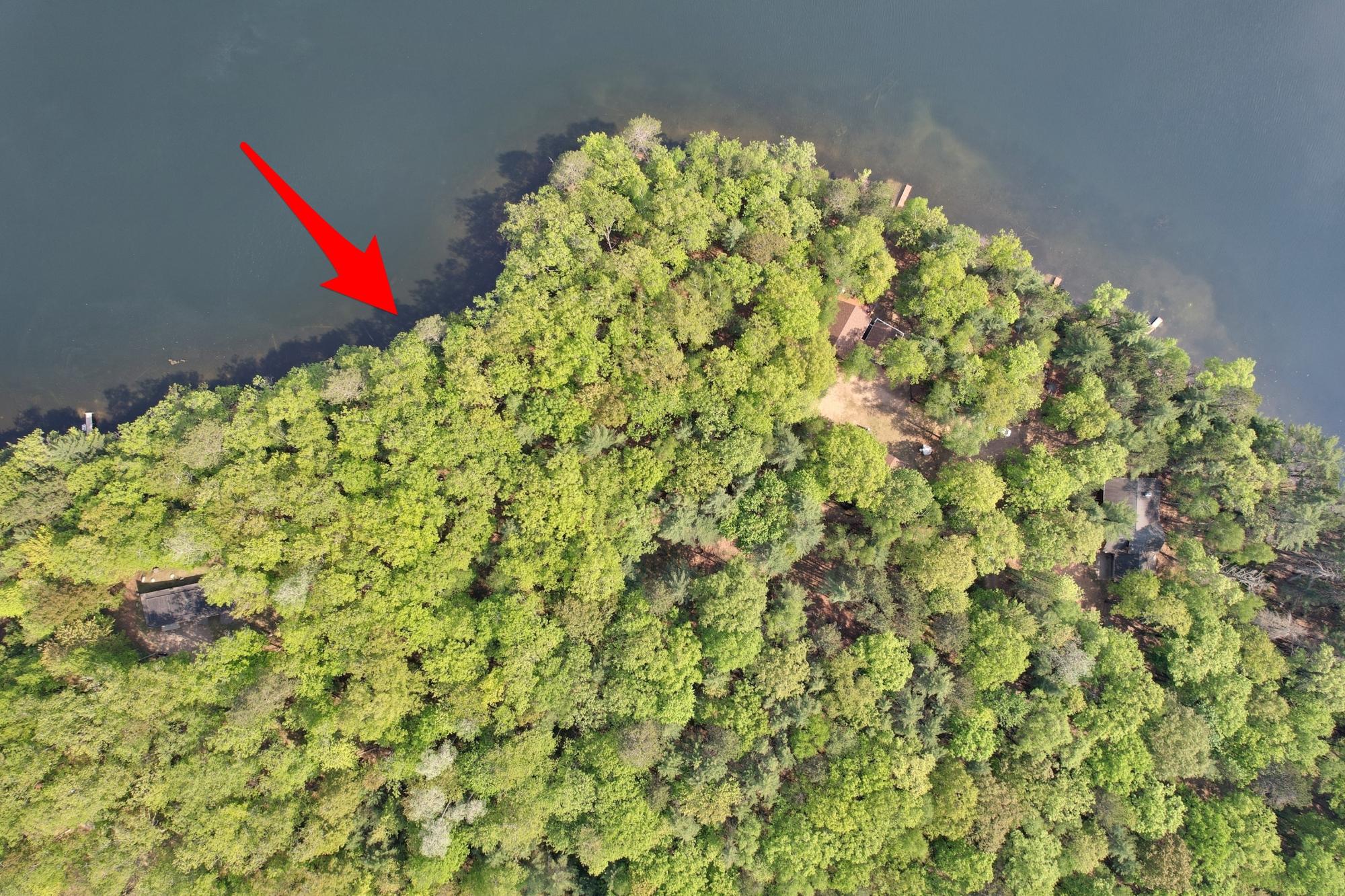 Alma Lake Property Lots 2&3 Pine Shore Ln Photo 3