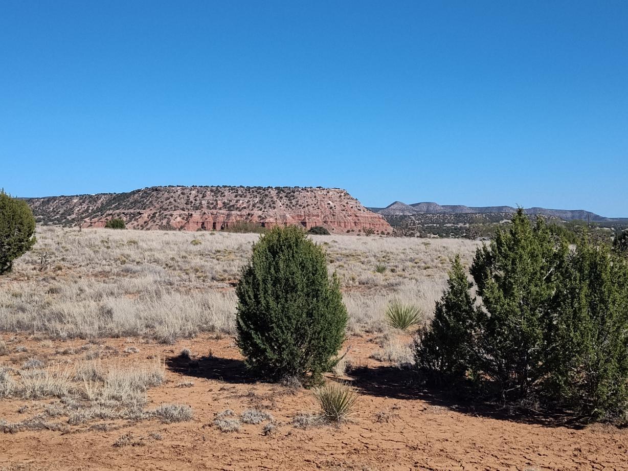 10 Barranca Road Mountainair, NM 87036