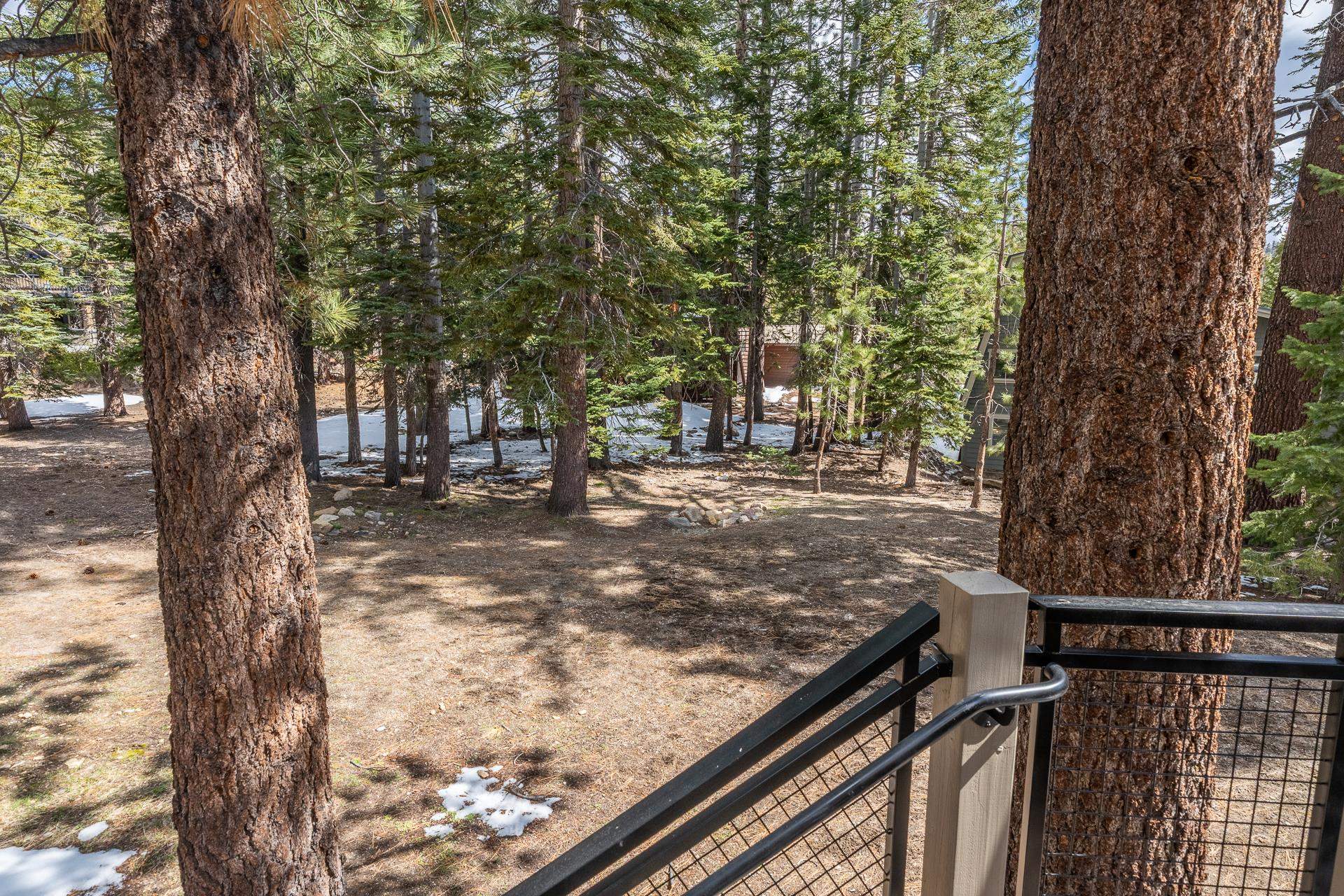 Property Photo 60