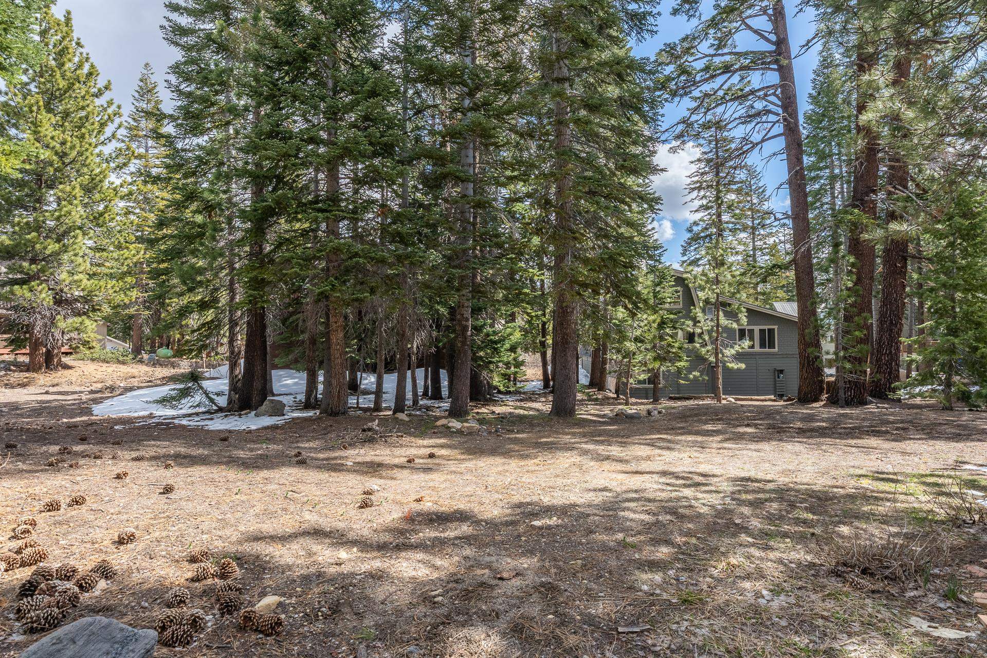 Property Photo 65