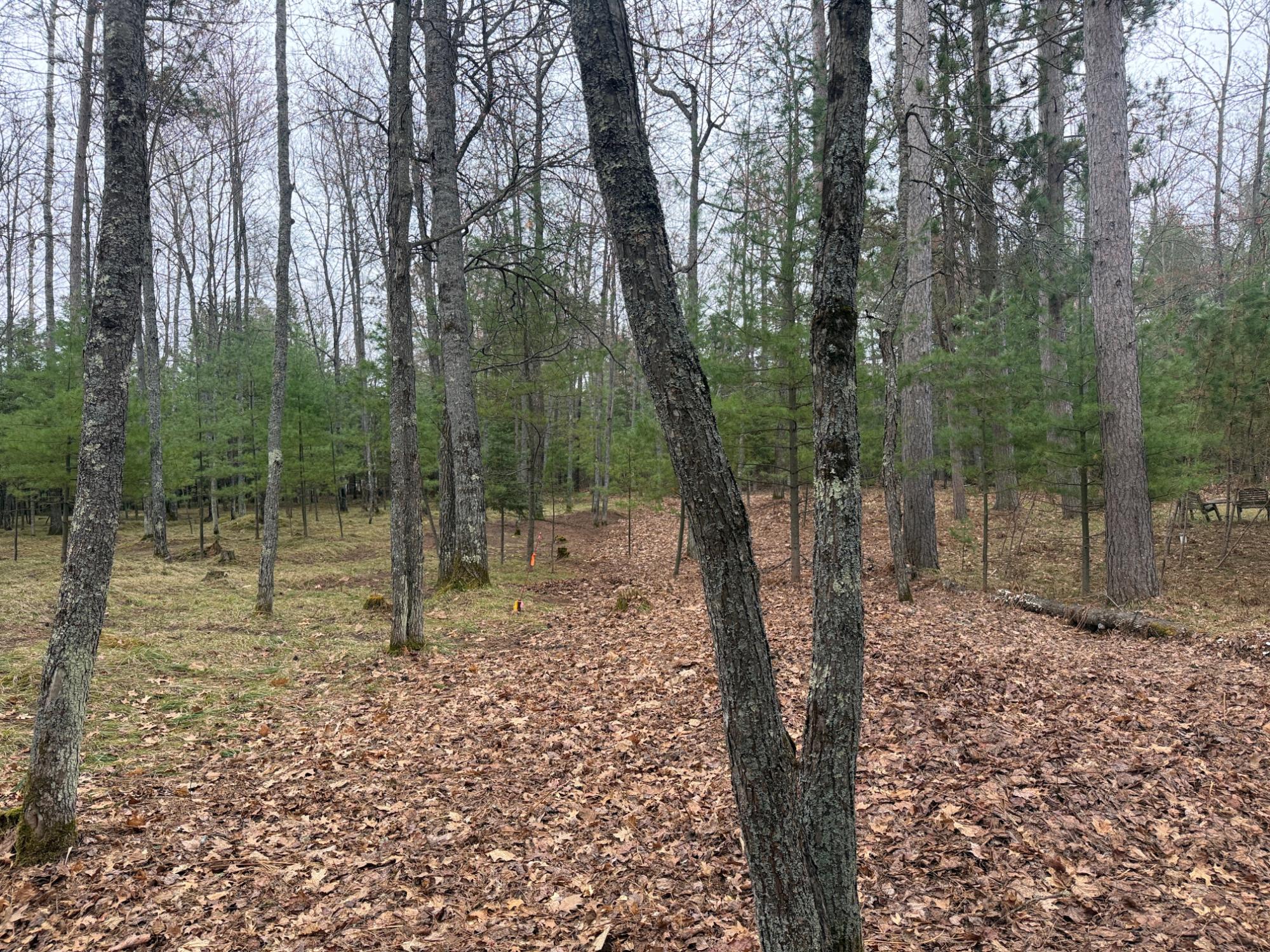 Little St. Germain Property 1066 Cedaroma Dr Photo 27