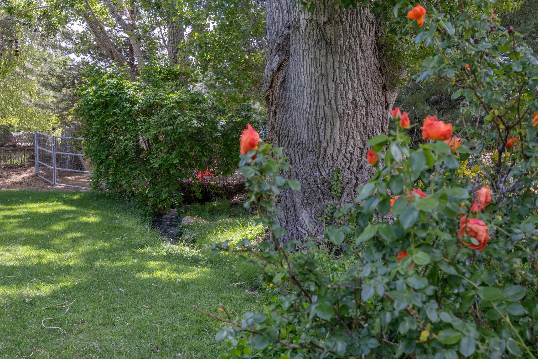 Property Photo 63
