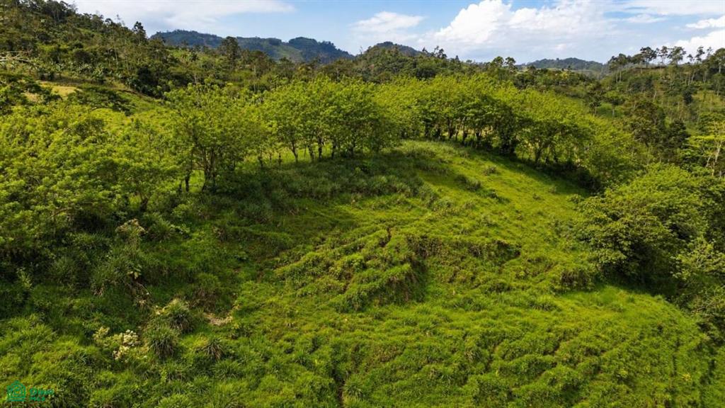 0 bed Land For Sale in Turrialba, Cartago - 1