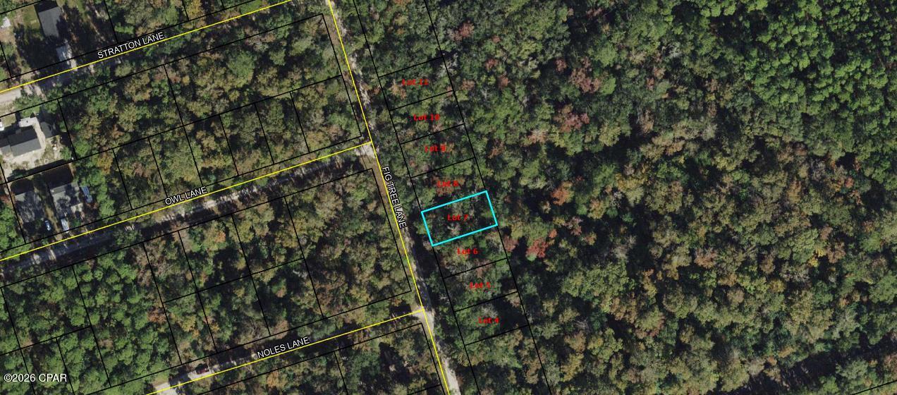 Lot 7 Fig Tree Lane, Crawfordville, FL 32327