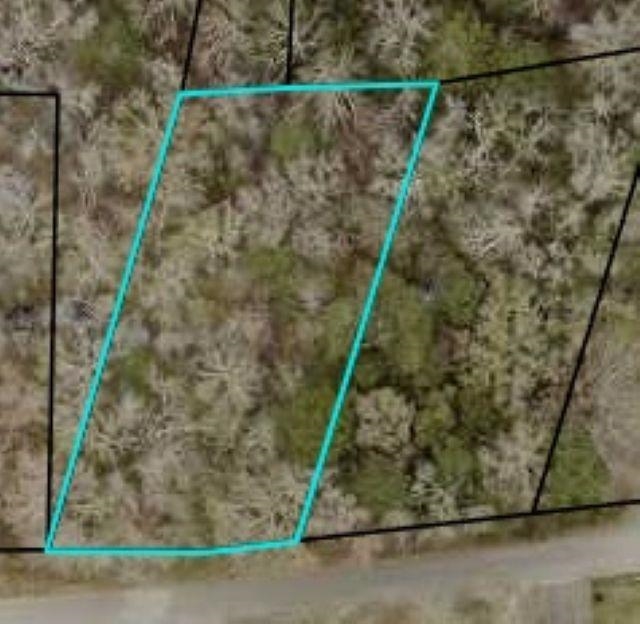TBD McKenzie Circle Pawleys Island, SC 29585